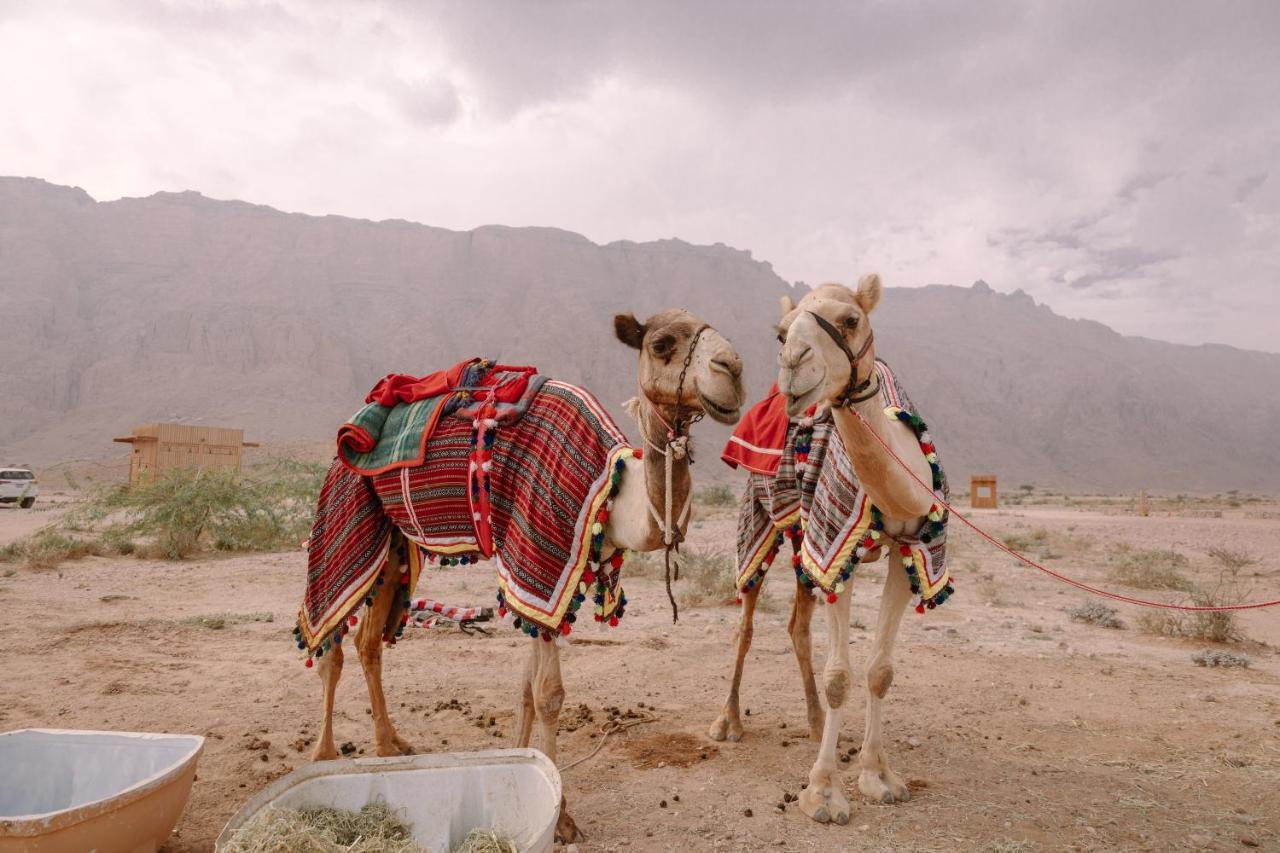 Pura Eco Retreat, Jebel Hafit Desert Park Al Ain Exteriör bild
